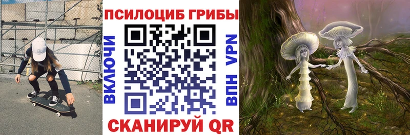 Псилоцибиновые грибы Psilocybine cubensis  купить  сайты  Пугачёв 